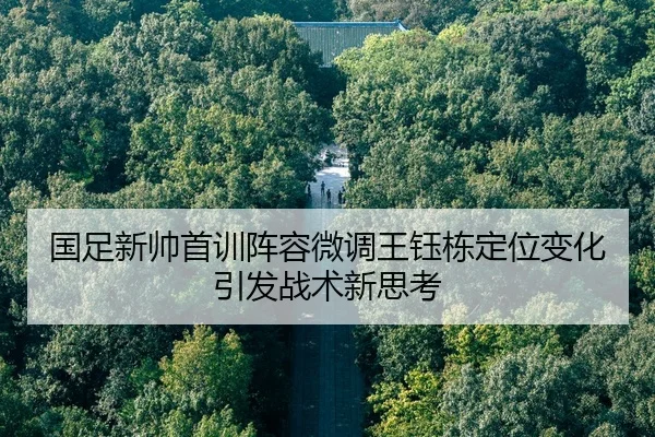 国足新帅首训阵容微调王钰栋定位变化引发战术新思考